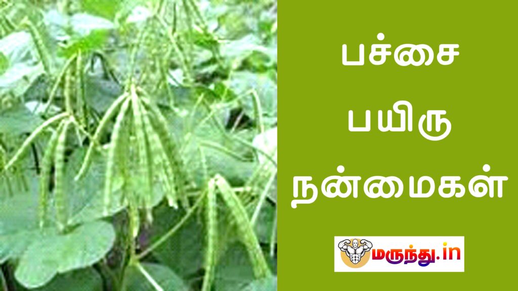 Pachai Payaru Benefits In Tamil