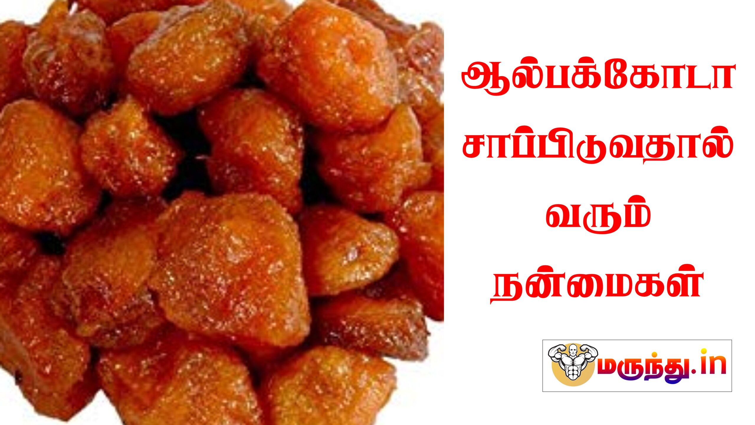 Alpakoda Fruit In Tamil