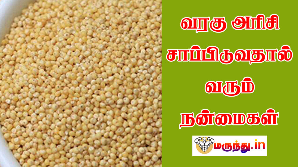 Varagu Arisi Benefits In Tamil