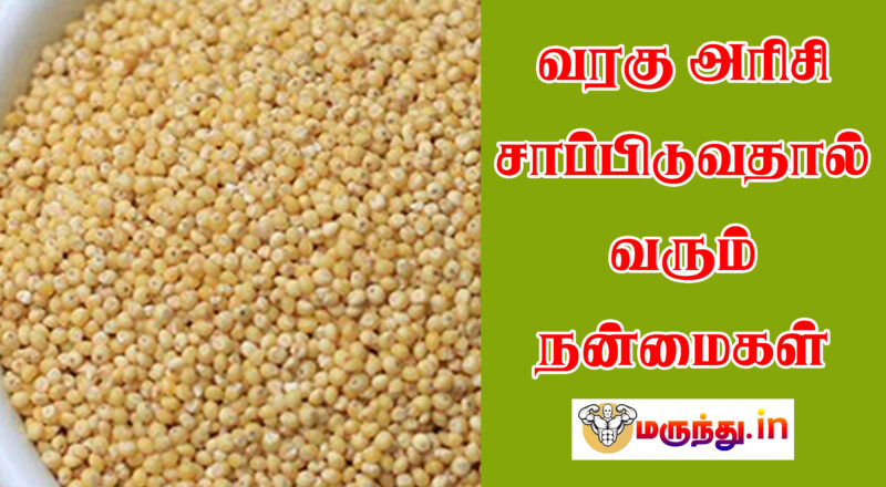 Varagu Arisi Benefits In Tamil