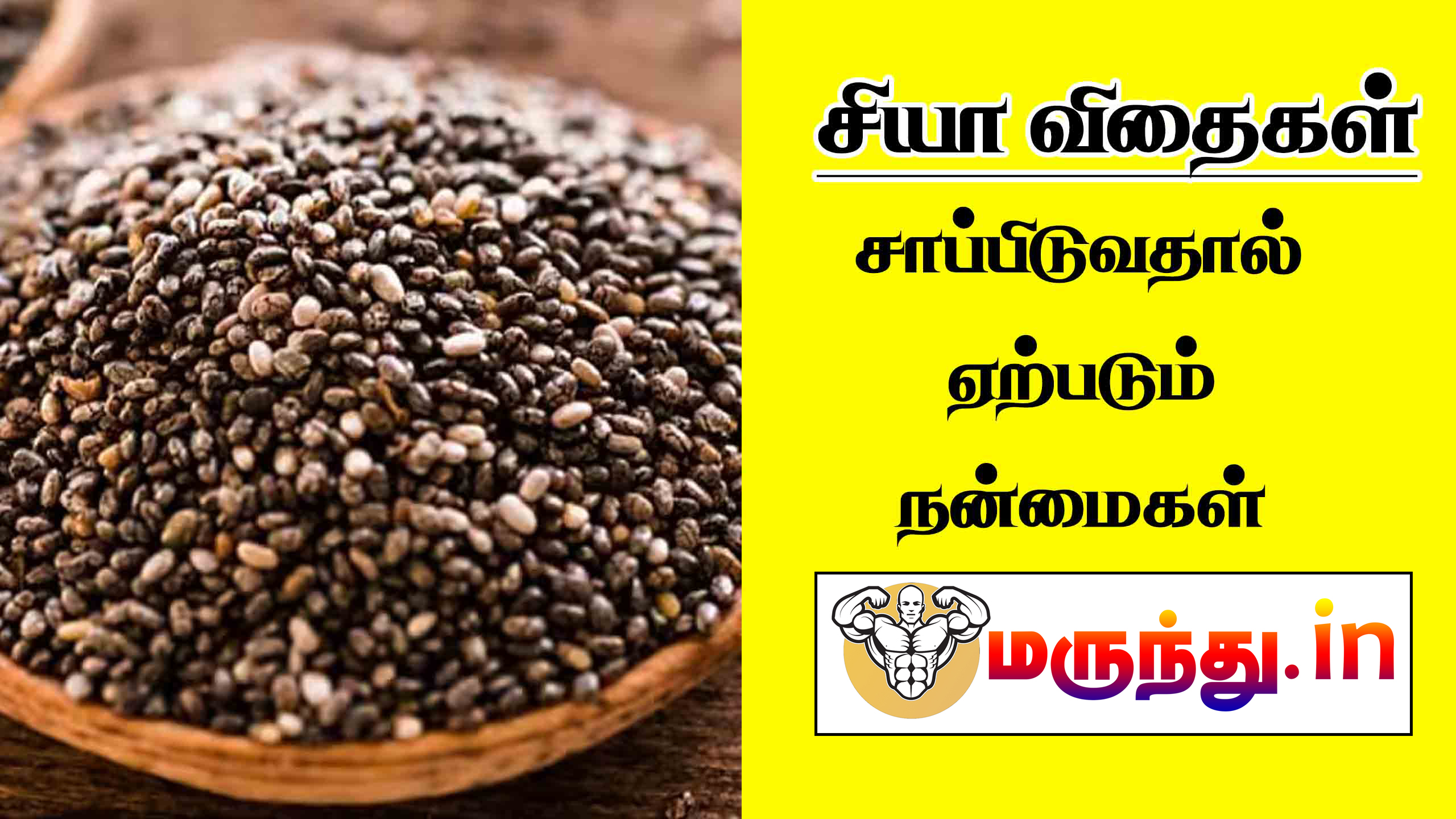 Amazing health benefits of chia seeds in tamil