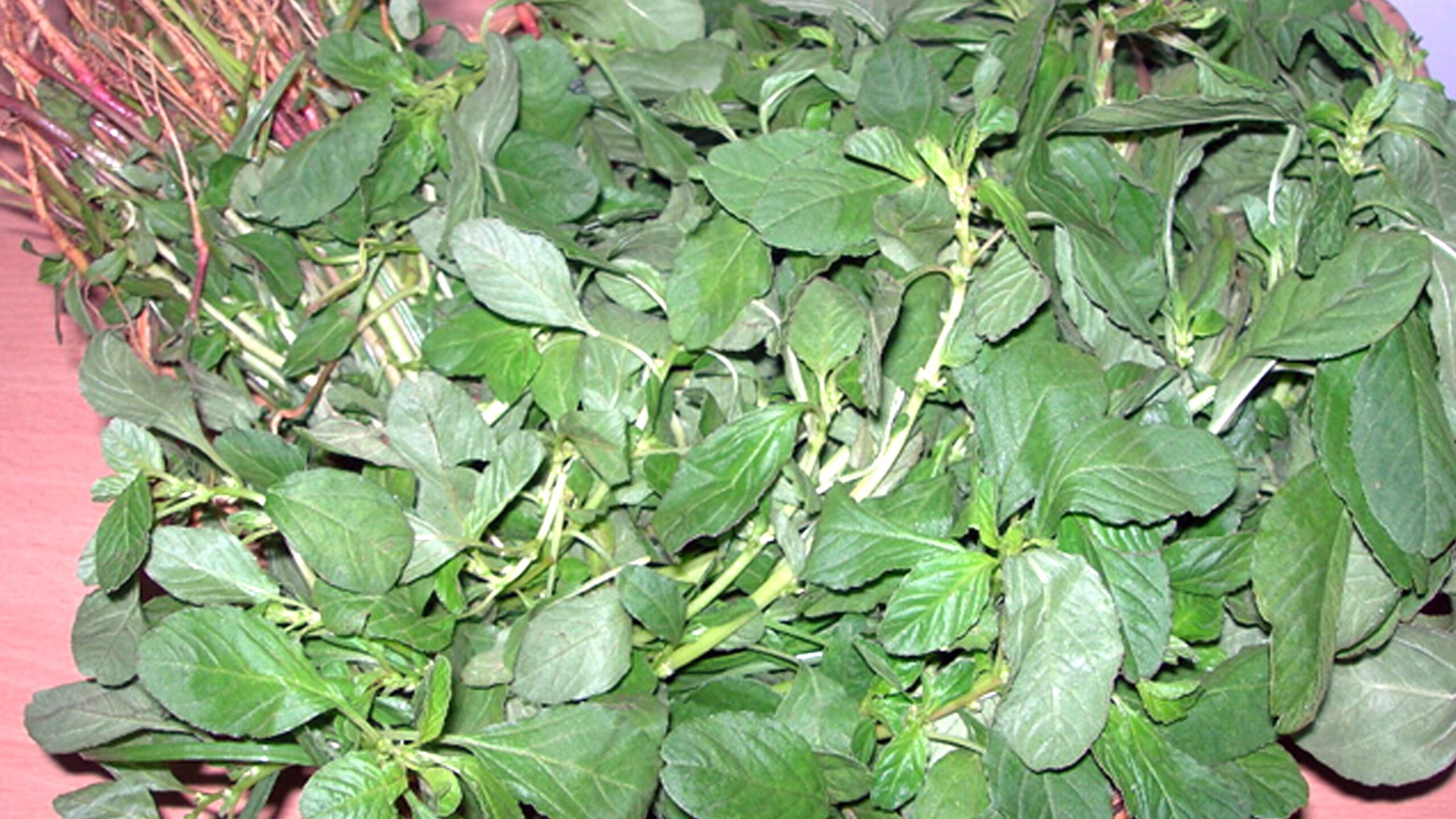 அரை கீரை பயன்கள்